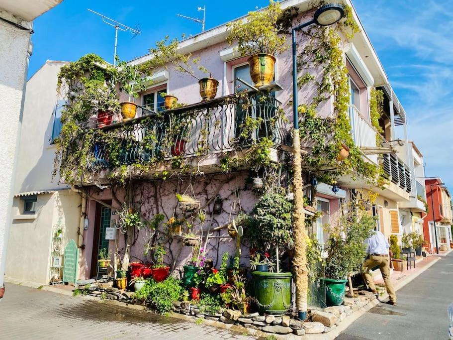 "Le Jardin" Superbe T2 Parking, Clim & Terrasse ! Apartment Sete Bagian luar foto